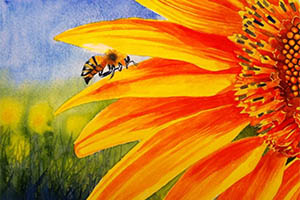watercolor painting of a honey bee visiting a sunflower
