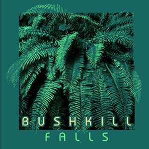 Screen printed tee shirt featuring text that reads Bushkill Falls