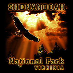 Screen printed design featuring a hawk flying overhead and text that reads Shenandoah National Park Virginia