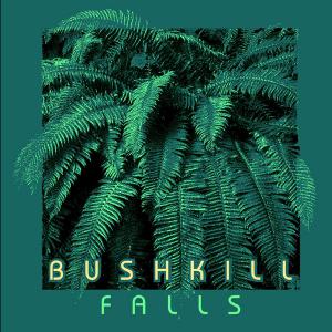 Screen printed tee shirt featuring text that reads Bushkill Falls